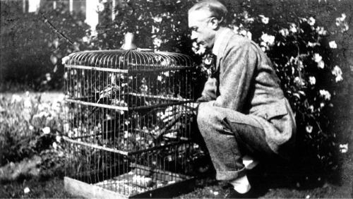 Attentive in Activity